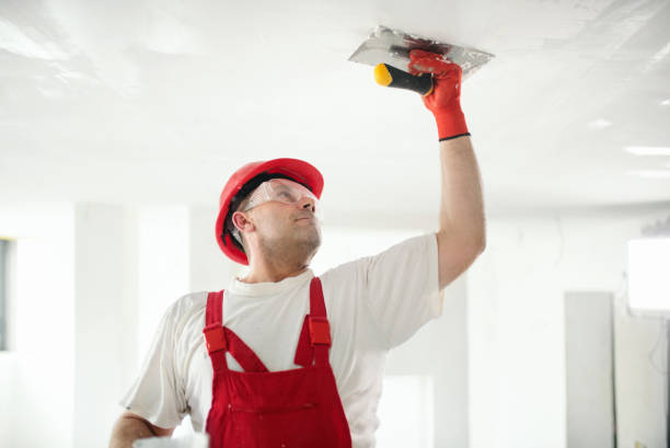 Best Eco-Friendly and Low-VOC Painting  in Valley Green, PA